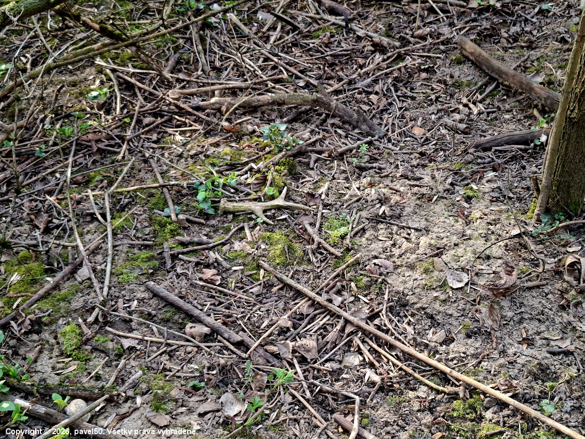 Slušný začátek dne.