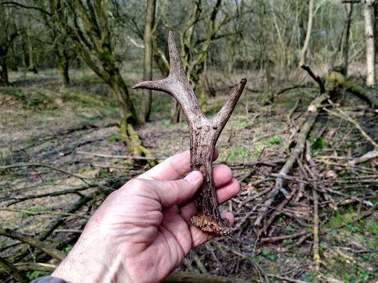 Konečně čerstvý.