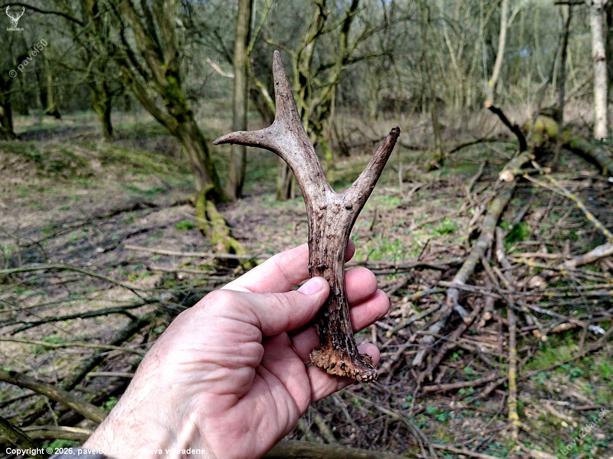 Konečně čerstvý.