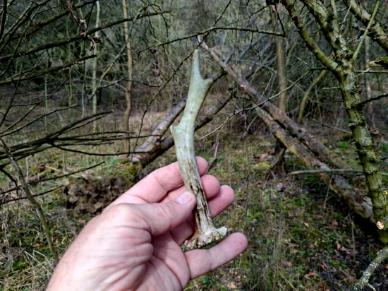 Další kousek radosti.