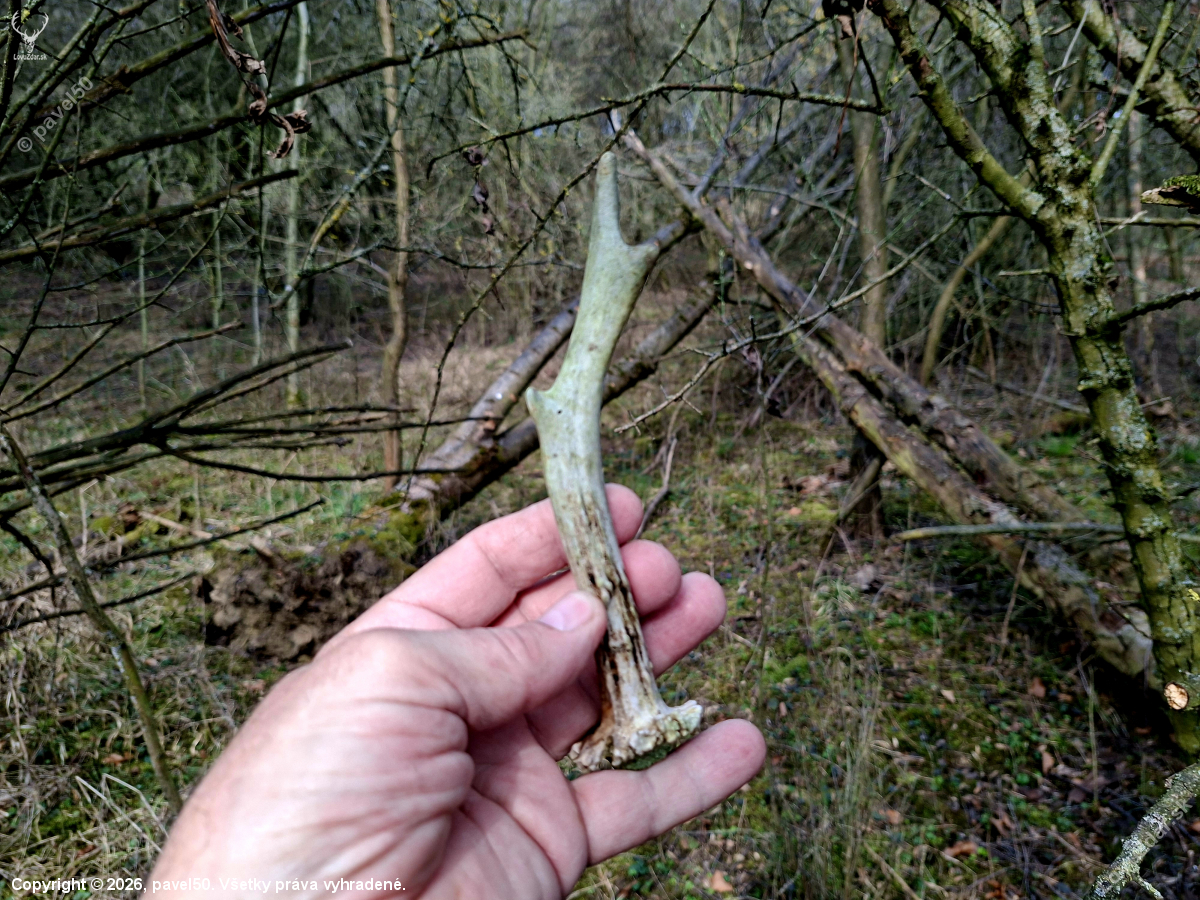 Další kousek radosti.