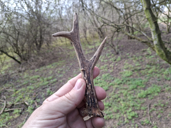 Šesteráci vedou ;-)))