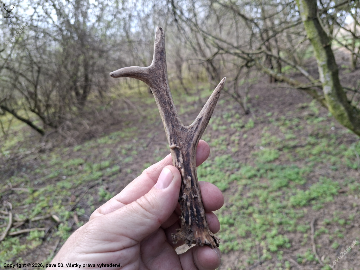 Šesteráci vedou ;-)))