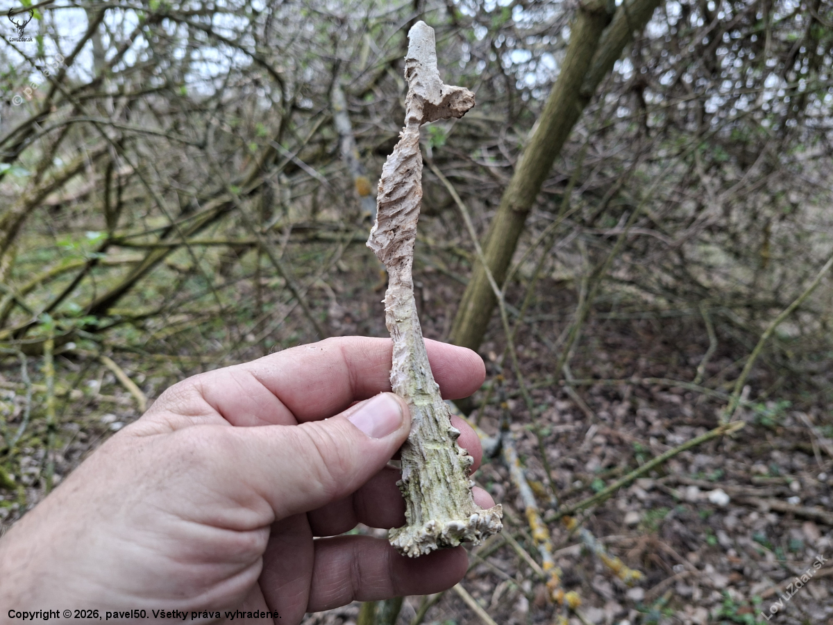 Tady už není pomoci.