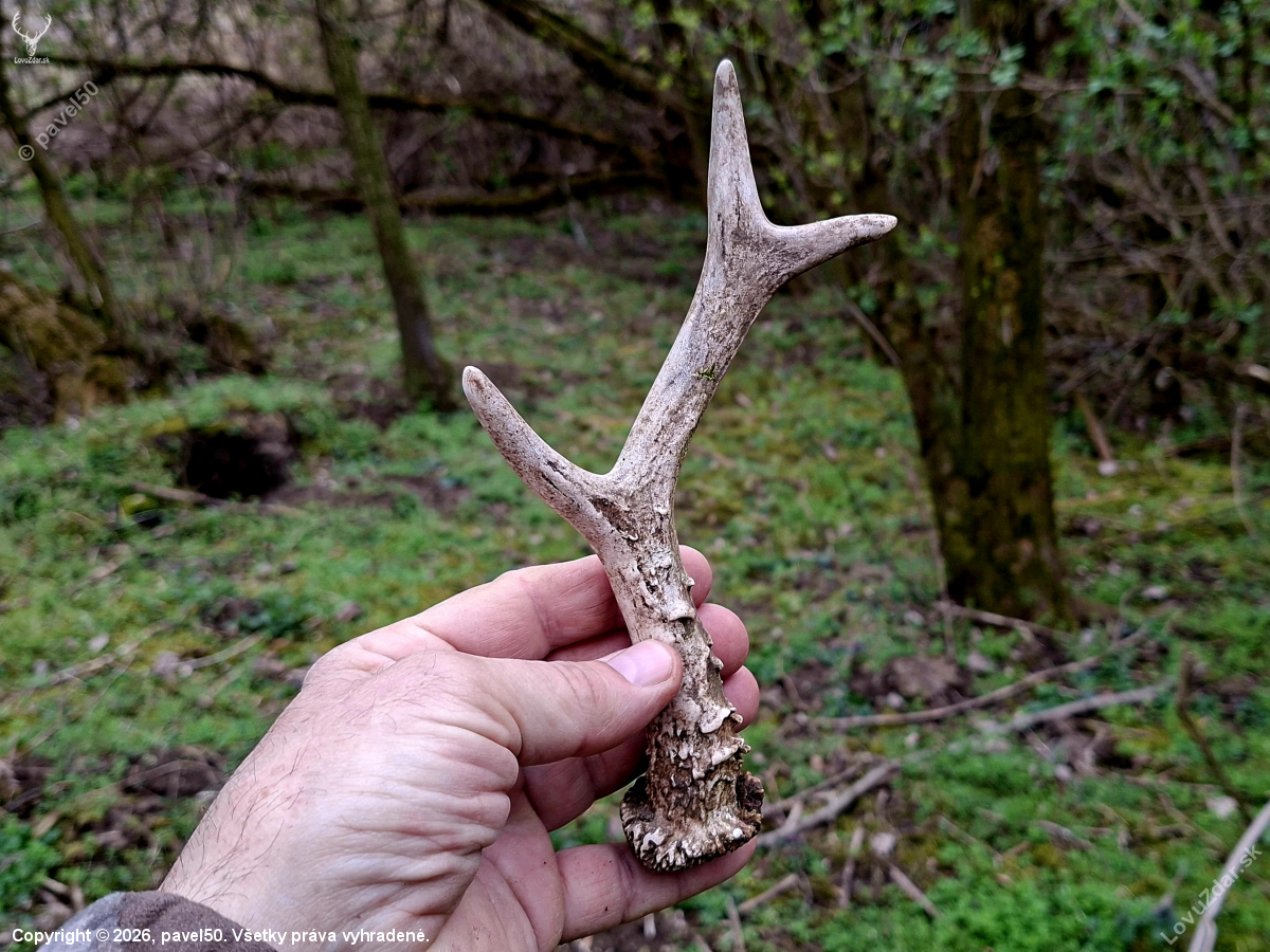 Po čtyřech hodinách.