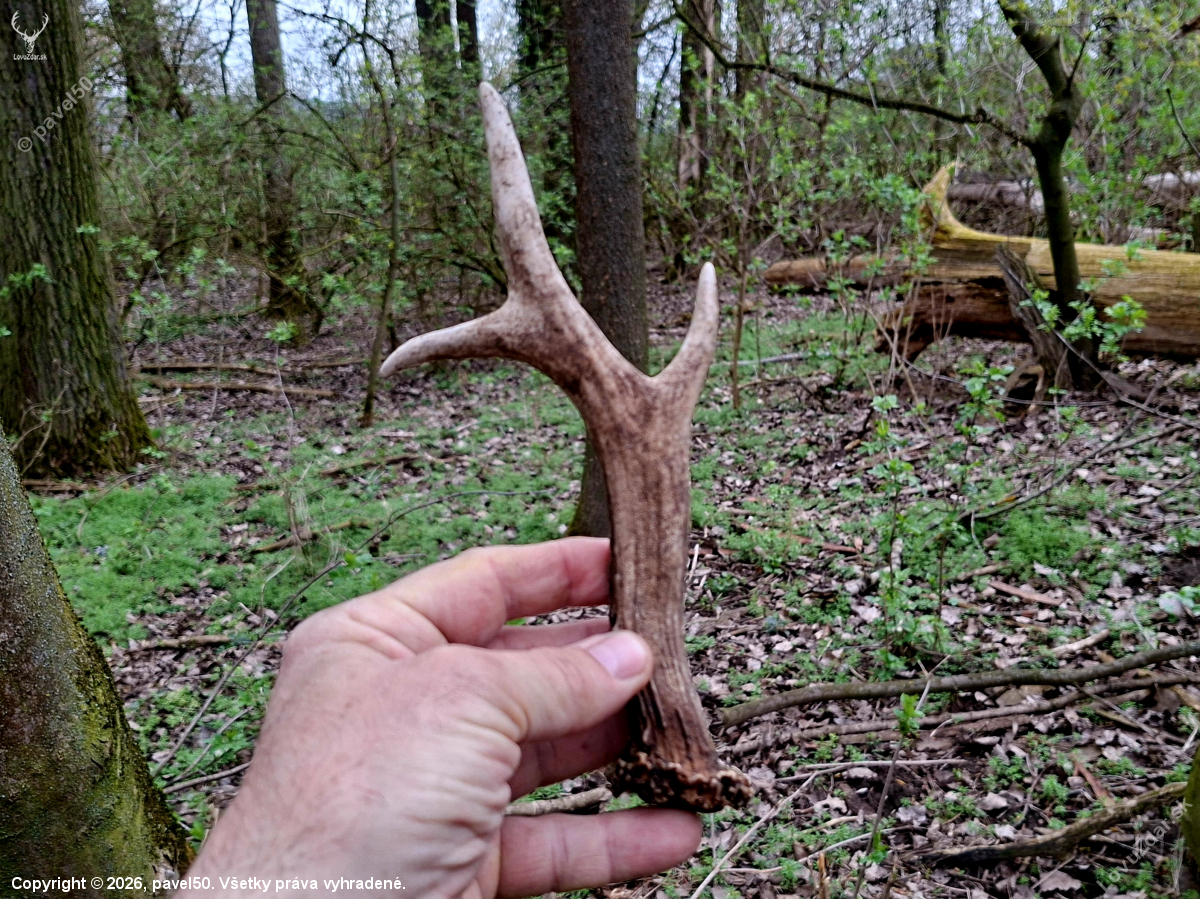 Z těch silnèjších.