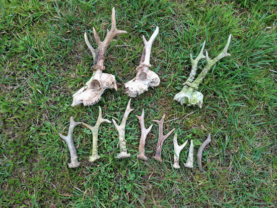 Neúnavné štěstí.