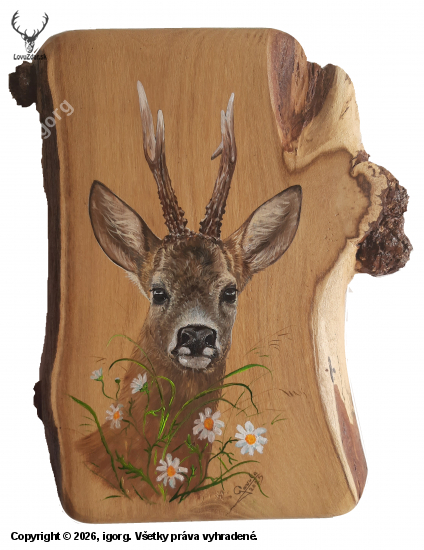 srnec na Agátovej doske