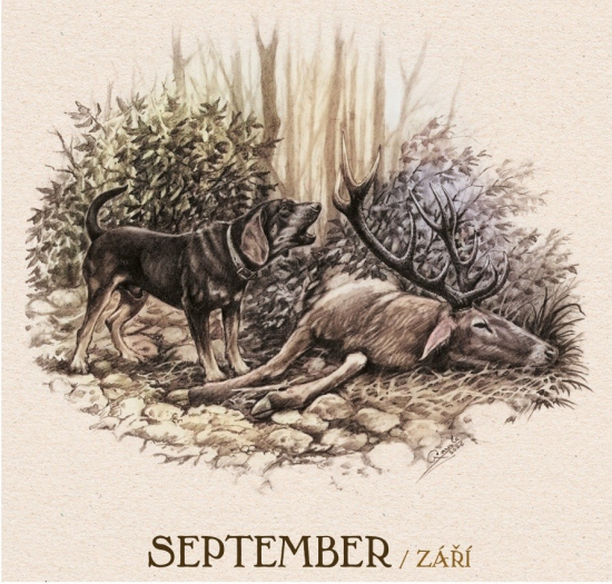 September-čas lovu jeleňa