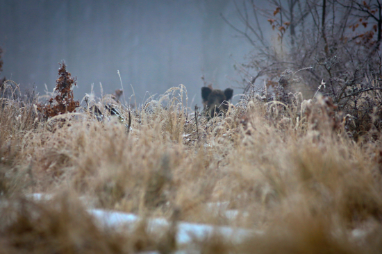 Taka malá mašurka :)