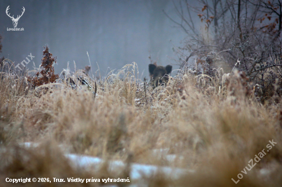 Taka malá mašurka :)
