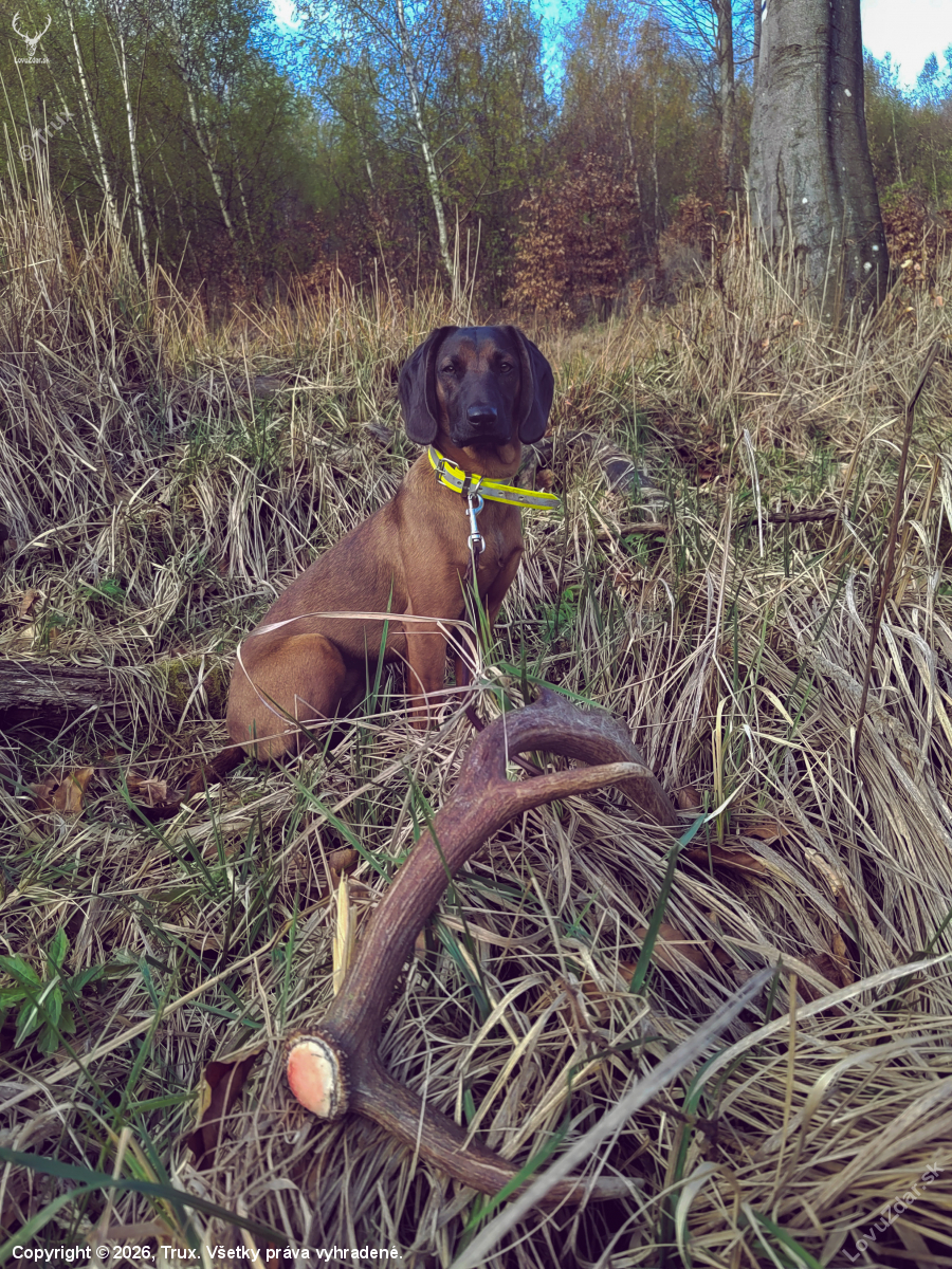 Padol rovno pred očami