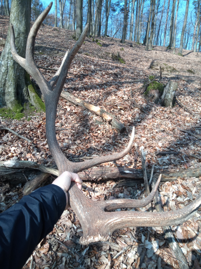 Krasny,ale len jeden.