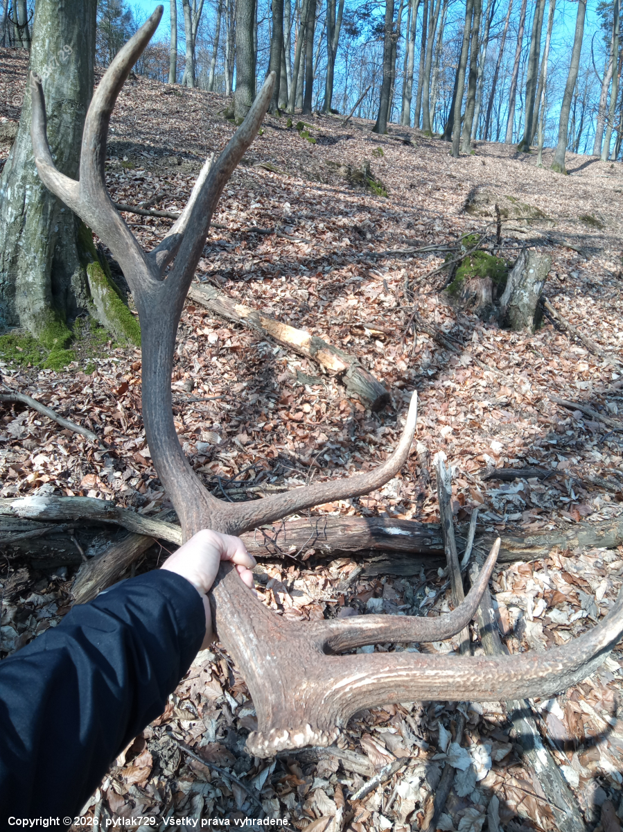 Krasny,ale len jeden.