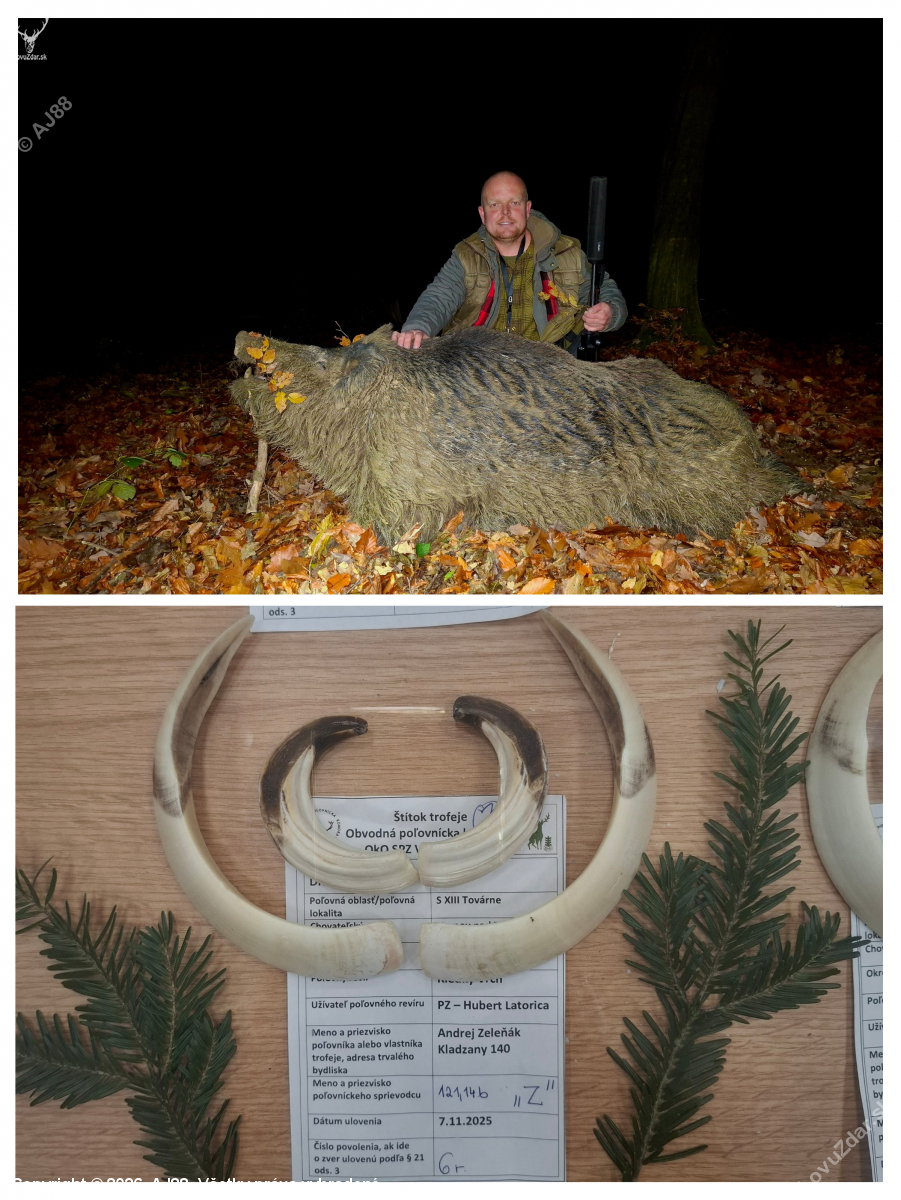 Vyhodnotenie diviacich zbrani k foto ID397767 na CHPT vo Vranove nad Toplou