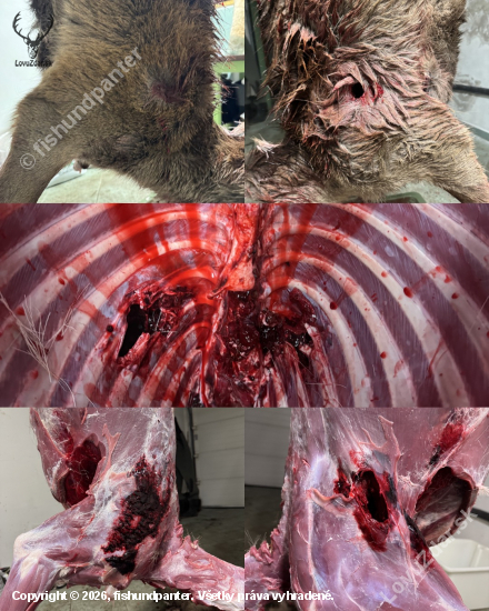 8,5x55 Nosler Accubond