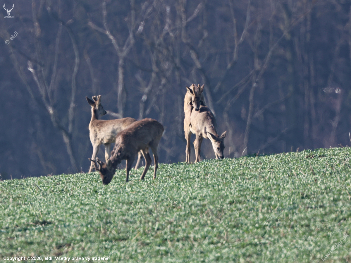 Když se vzbouří hormony.