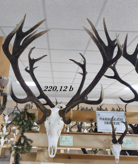 Chovateľská prehliadka trofejí poľovníckej sezóny 2025/2026-Poprad.