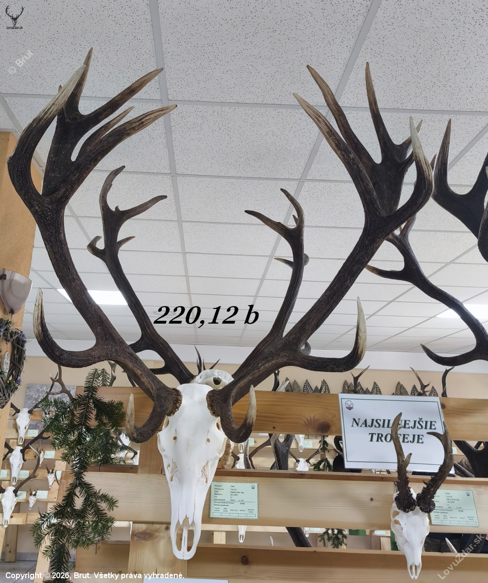 Chovateľská prehliadka trofejí poľovníckej sezóny 2025/2026-Poprad.