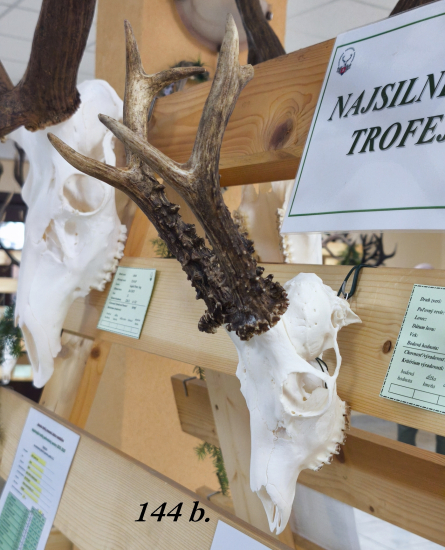 Chovateľská prehliadka trofejí poľovníckej sezóny 2025/2026-Poprad.
