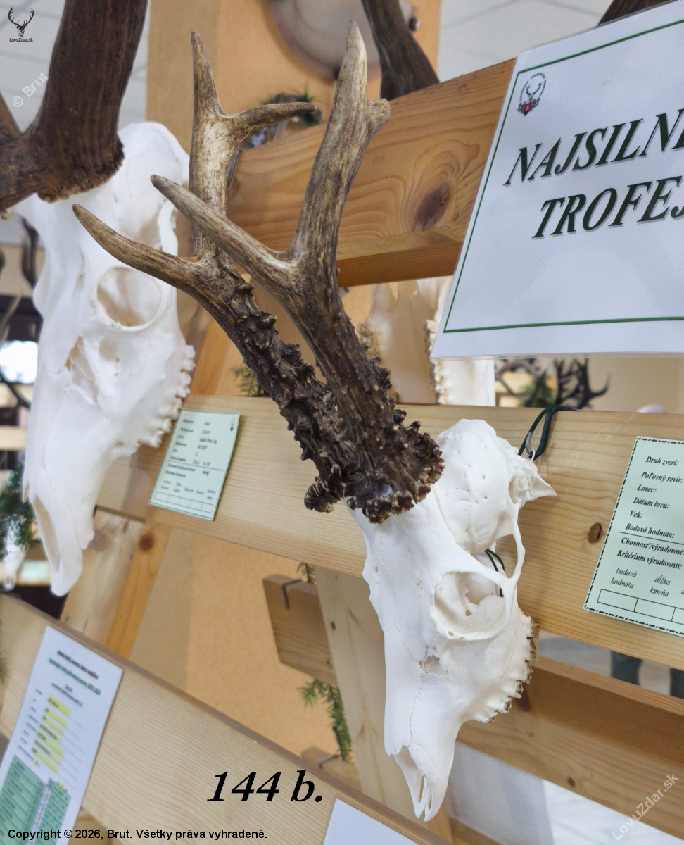 Chovateľská prehliadka trofejí poľovníckej sezóny 2025/2026-Poprad.