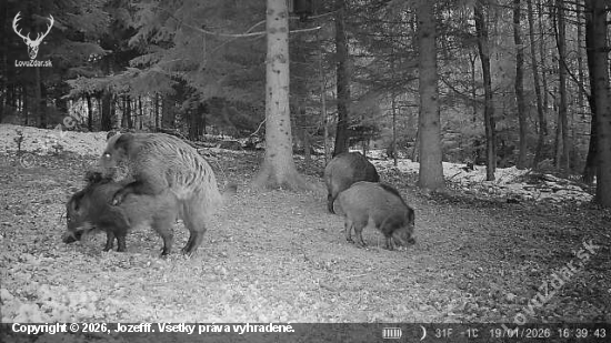 ,,Ked deti robia deti