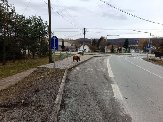 Ten autobus zase meška