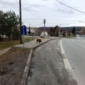 Ten autobus zase meška