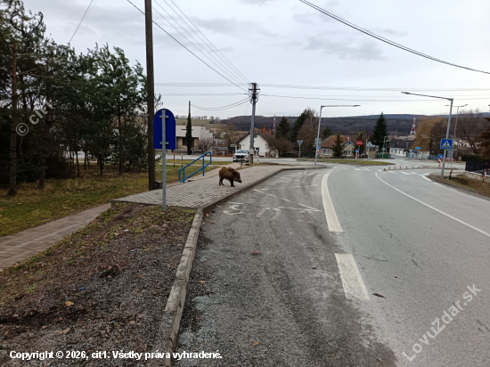 Ten autobus zase meška