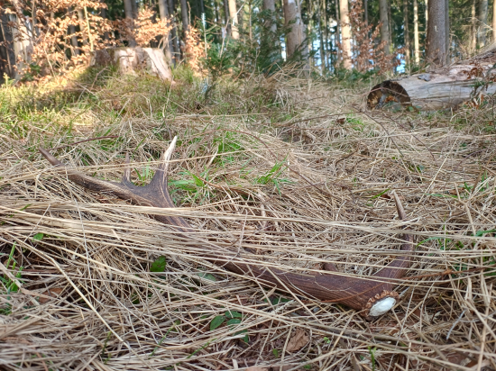 Aprílový vysokohorský zhodík...