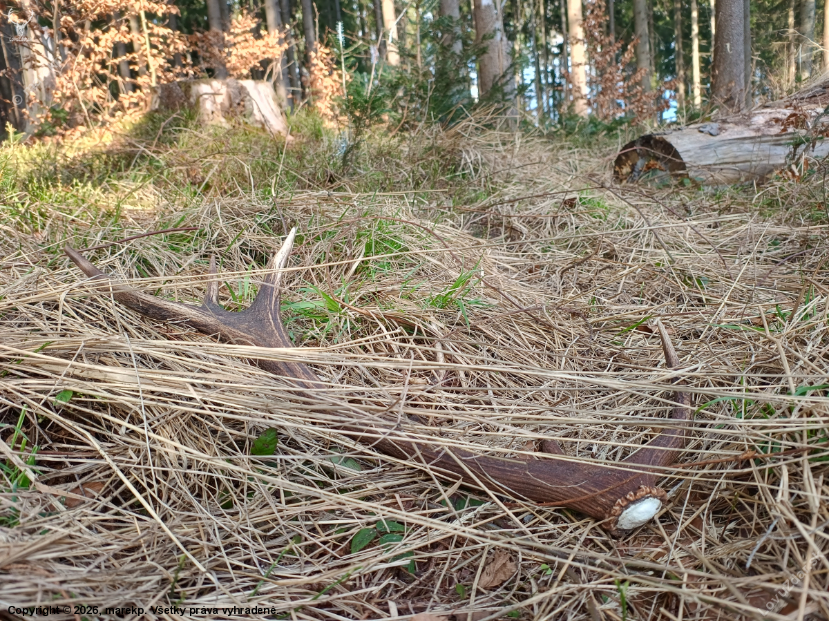 Aprílový vysokohorský zhodík...