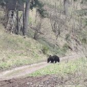 Tatranský Yogi