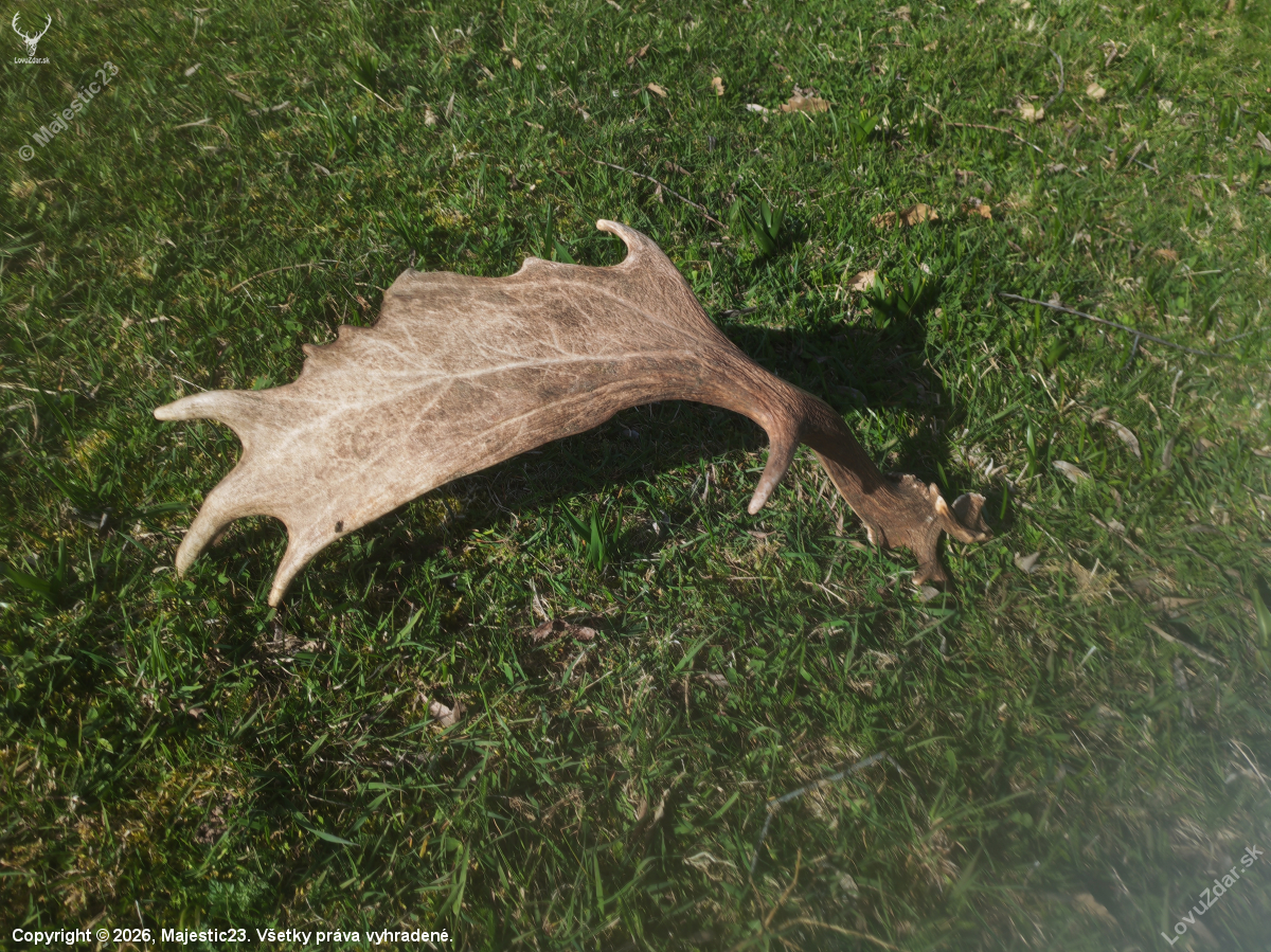 Dobrá lopata s raritkou