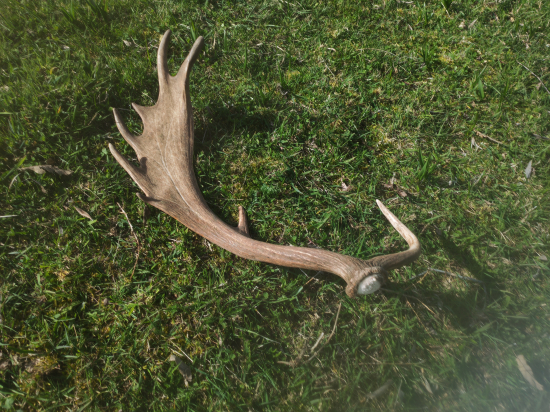 5m od predošlej lopaty