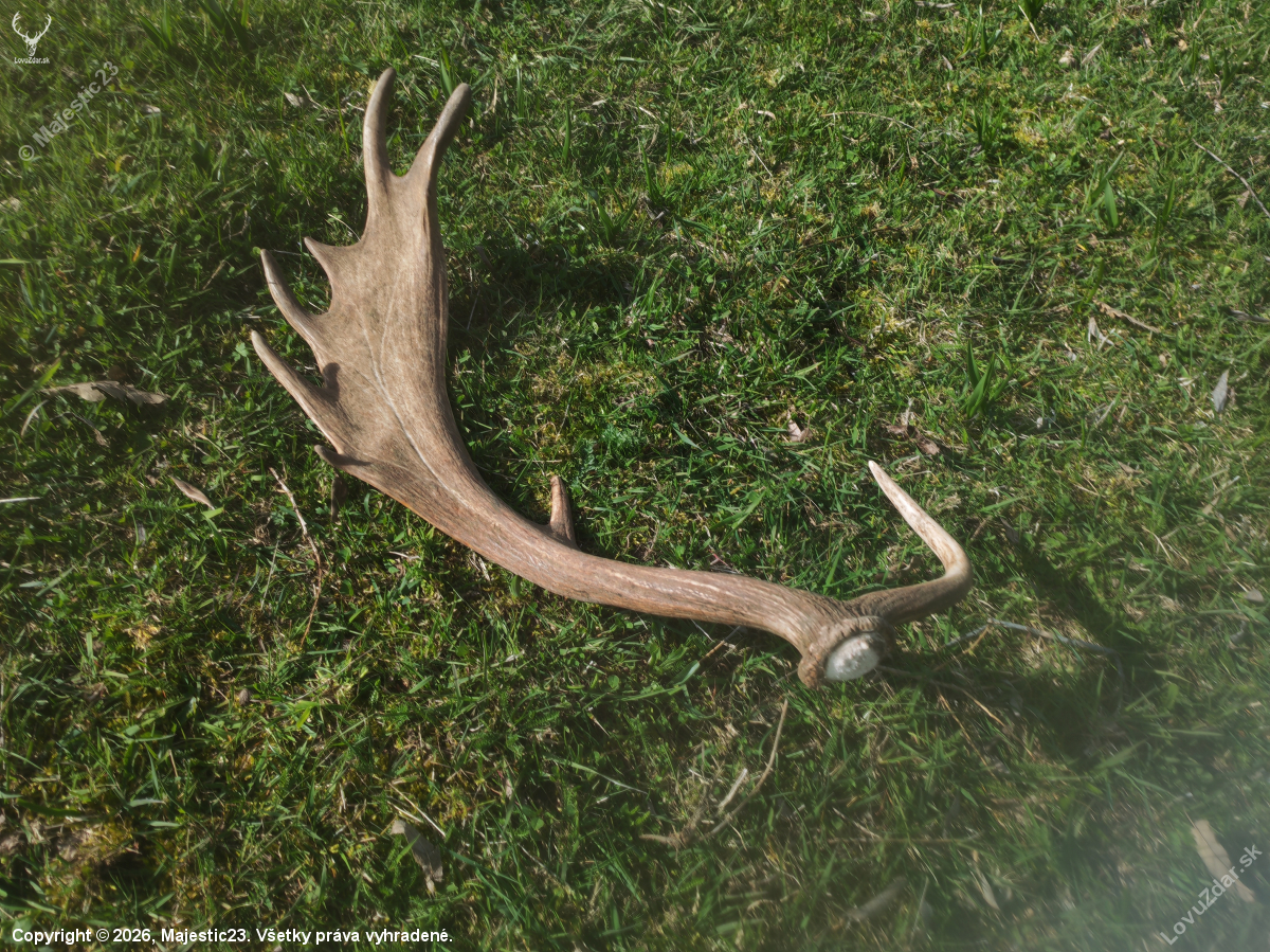 5m od predošlej lopaty