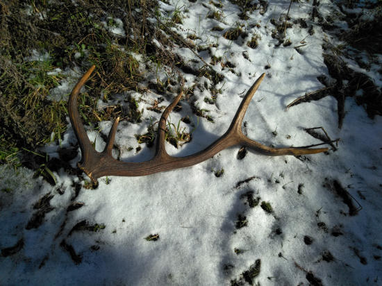 Na začiatok 2026/č.1