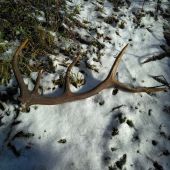 Na začiatok 2026/č.1