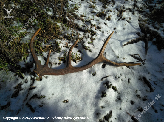 Na začiatok 2026/č.1