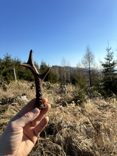 Maličký z veľkej mladiny .