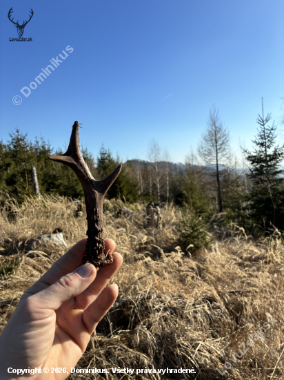 Maličký z veľkej mladiny .