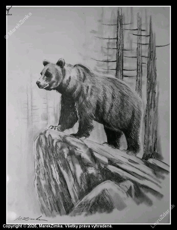 Medveď