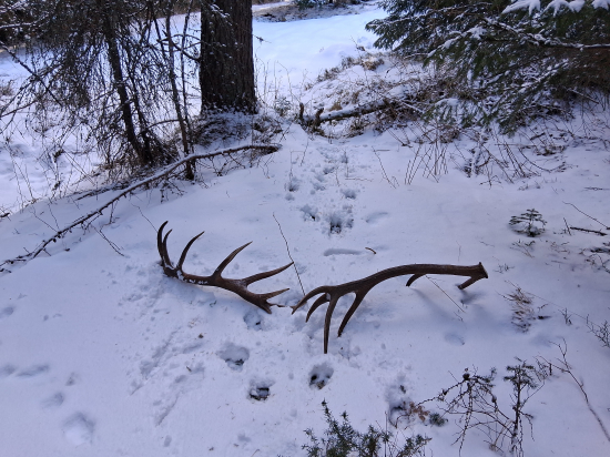 Pekne mi ich odložil