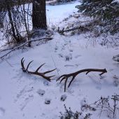 Pekne my ich odložil