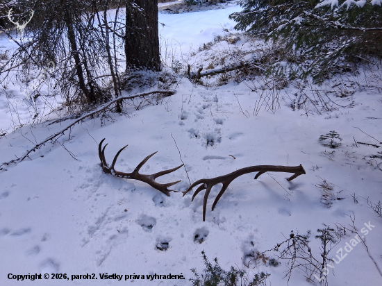 Pekne my ich odložil