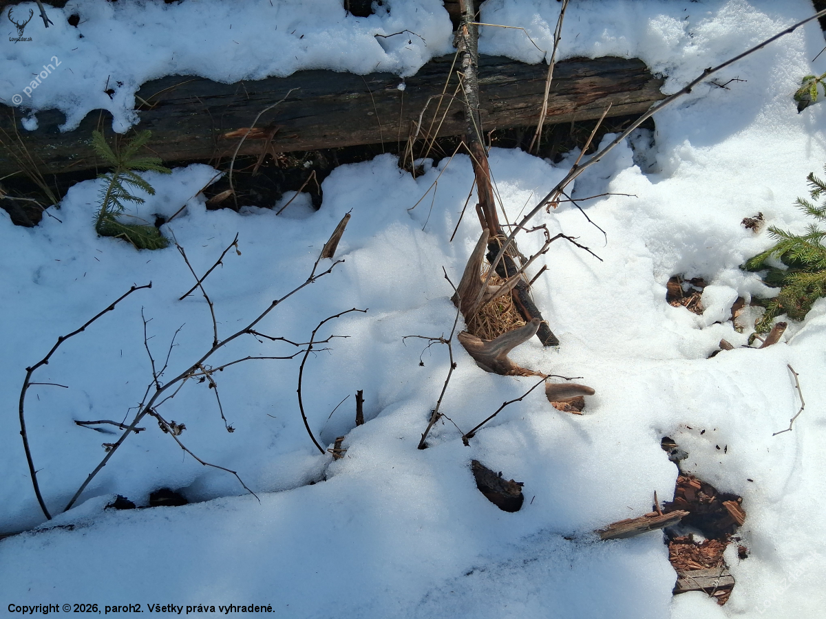 Prisnežilo nám ich