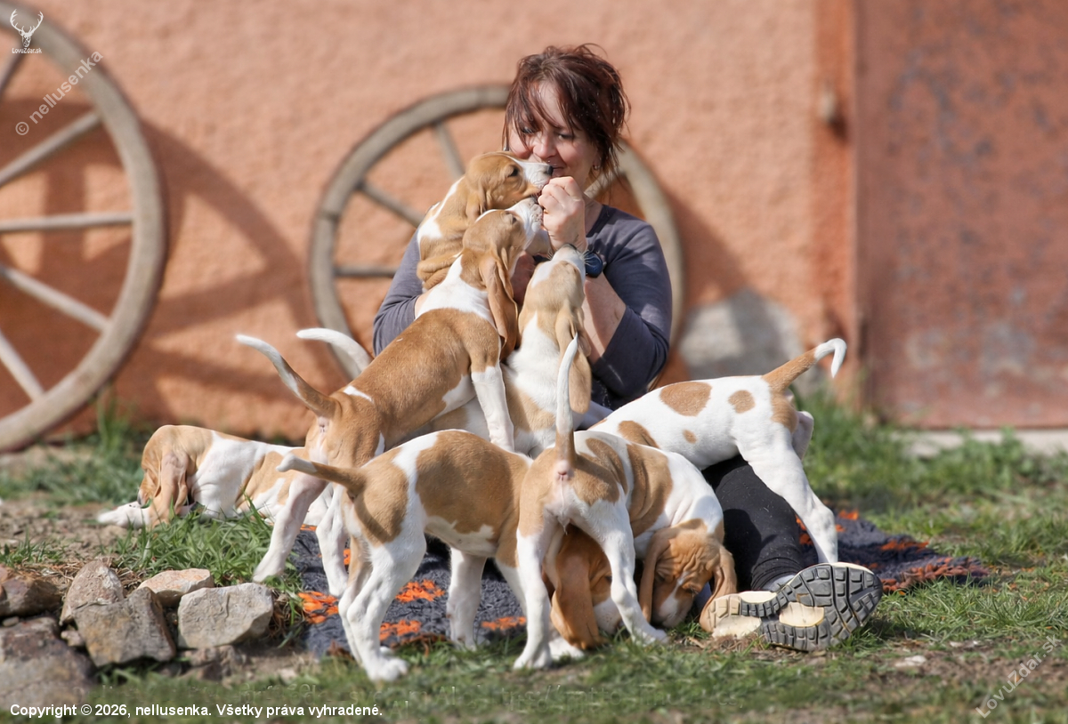 Naše malé velké radosti