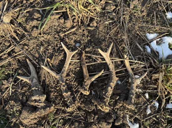 Dlho sa tak nedarilo