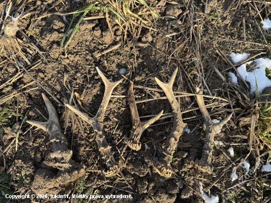 Dlho sa tak nedarilo