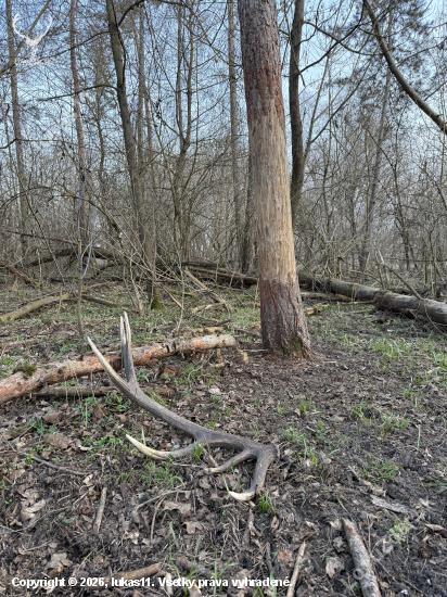 Perfektne odložený