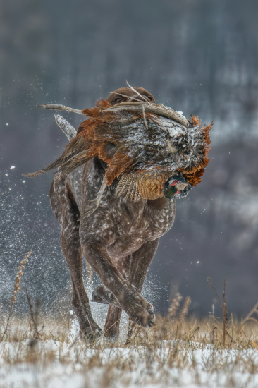 Vášne sa nevzdáš ani v zime. ❄️????